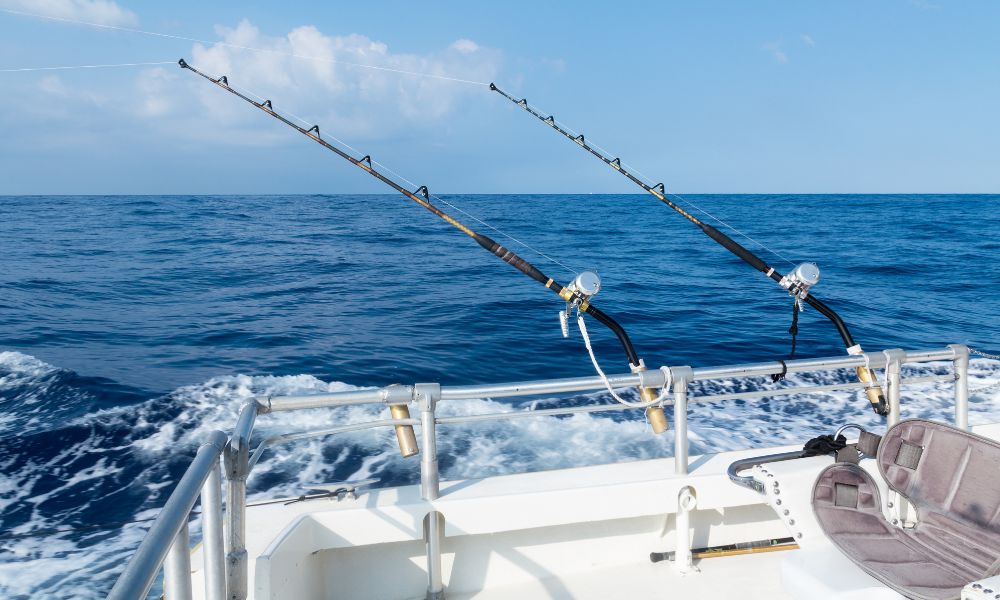 What Makes Dauphin Island Fishing Trips So Special?