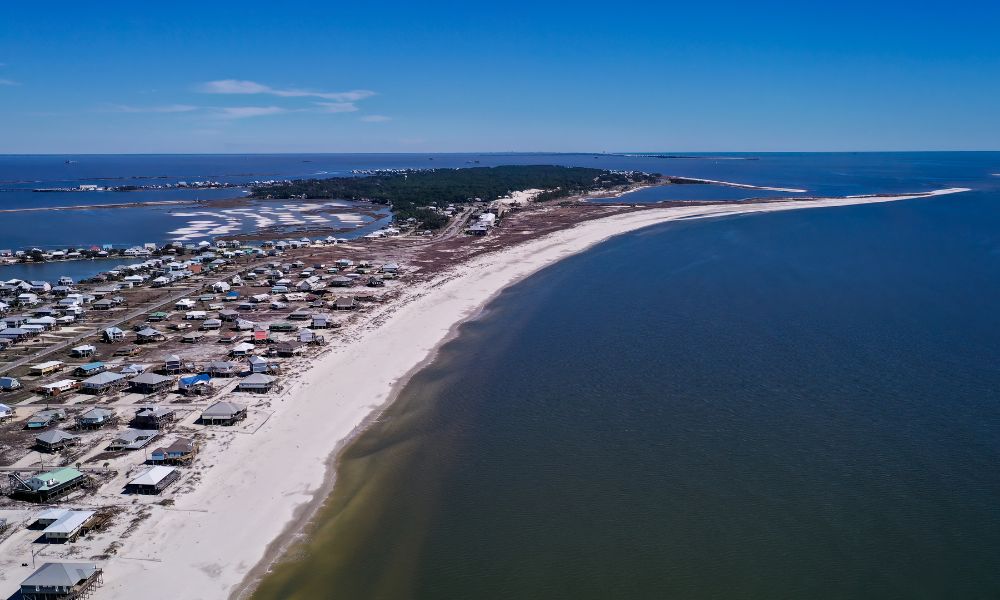 Best Things To Do in Dauphin Island: Fishing & Beyond