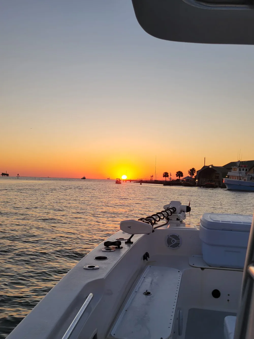 Sightseeing Boat Tours Around Dauphin Island for More Than Just Fishing