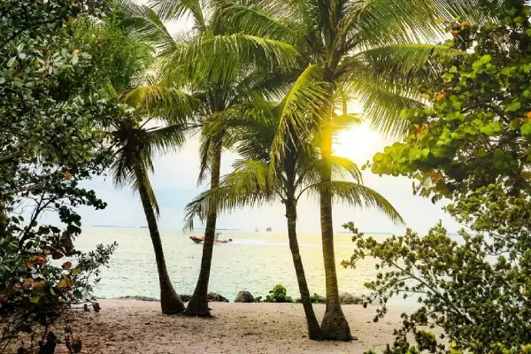 Dauphin Island West End Trip