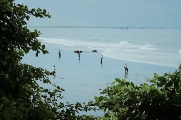 Petit Bois Island Tour